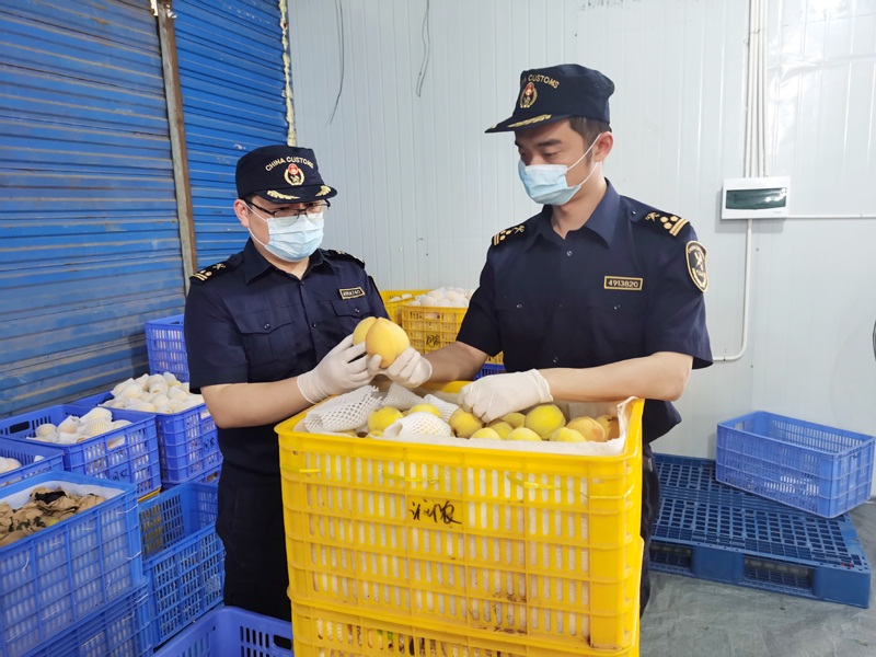Z6·尊龙凯时「中国区」官方网站