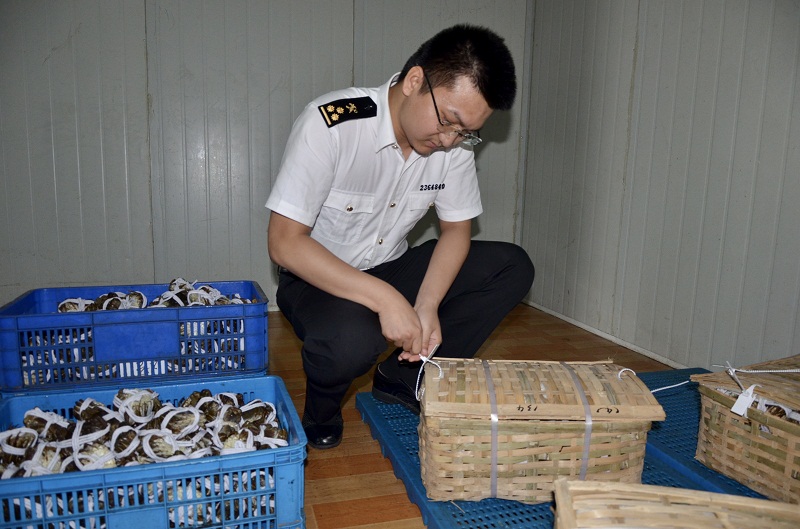 Z6·尊龙凯时「中国区」官方网站