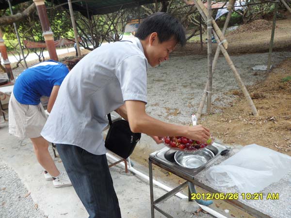 2012-5-26“杨梅坑”户表活动图集 幼叶为各人洗濯水果