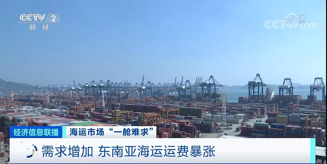 央视报路：东南亚部门港口运价翻10倍！市场再现“一舱难求”，货主货代企业包船出海