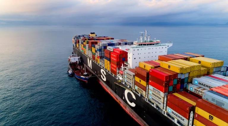 沉磅！MSC、马士基、达飞、赫伯罗特等9大船公司，与4大国际组织成立新联盟！
